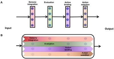 Using a Simple Neural Network to Delineate Some Principles of Distributed Economic Choice